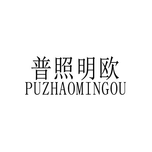 普照明欧