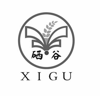 硒谷