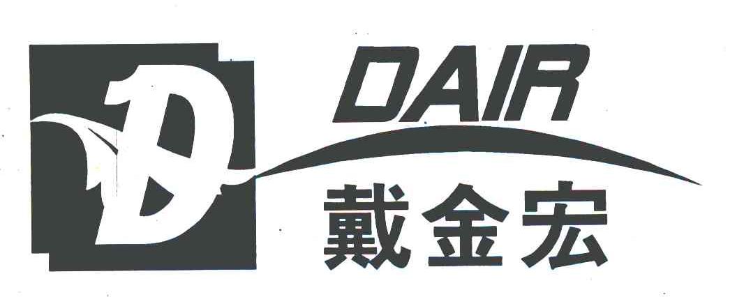 戴金宏 DAIR D