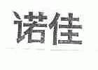 诺佳