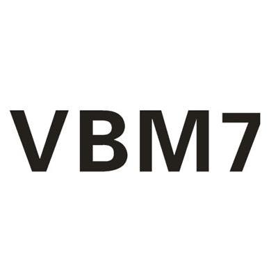 VBM;7
