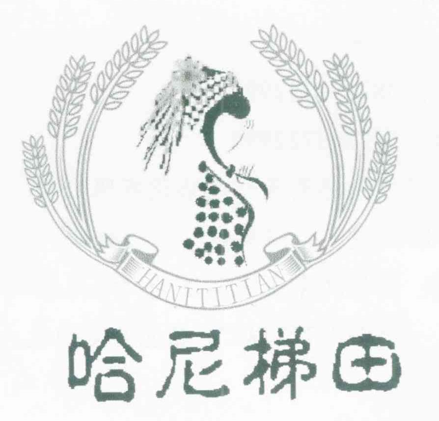 哈尼梯田