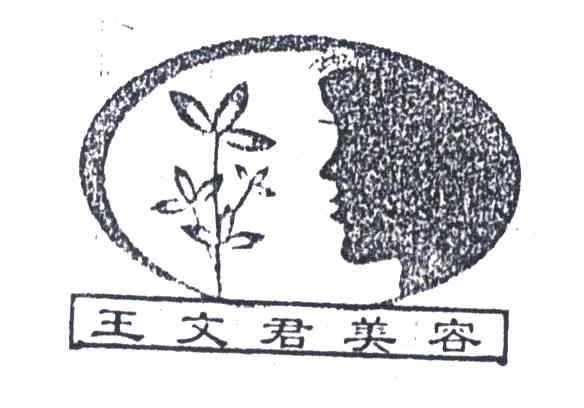 王文君美容