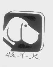 牧羊犬
