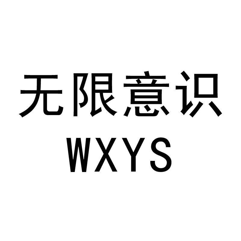 无限意识 WXYS