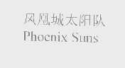 凤凰城太阳队   PHOENIX SUNS