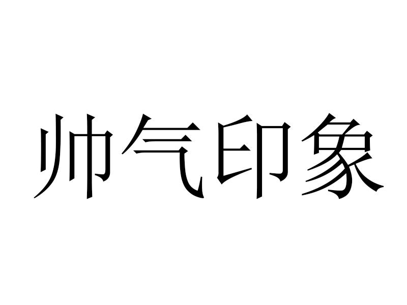 帅气印象