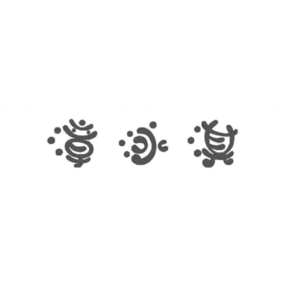 漳泳淇