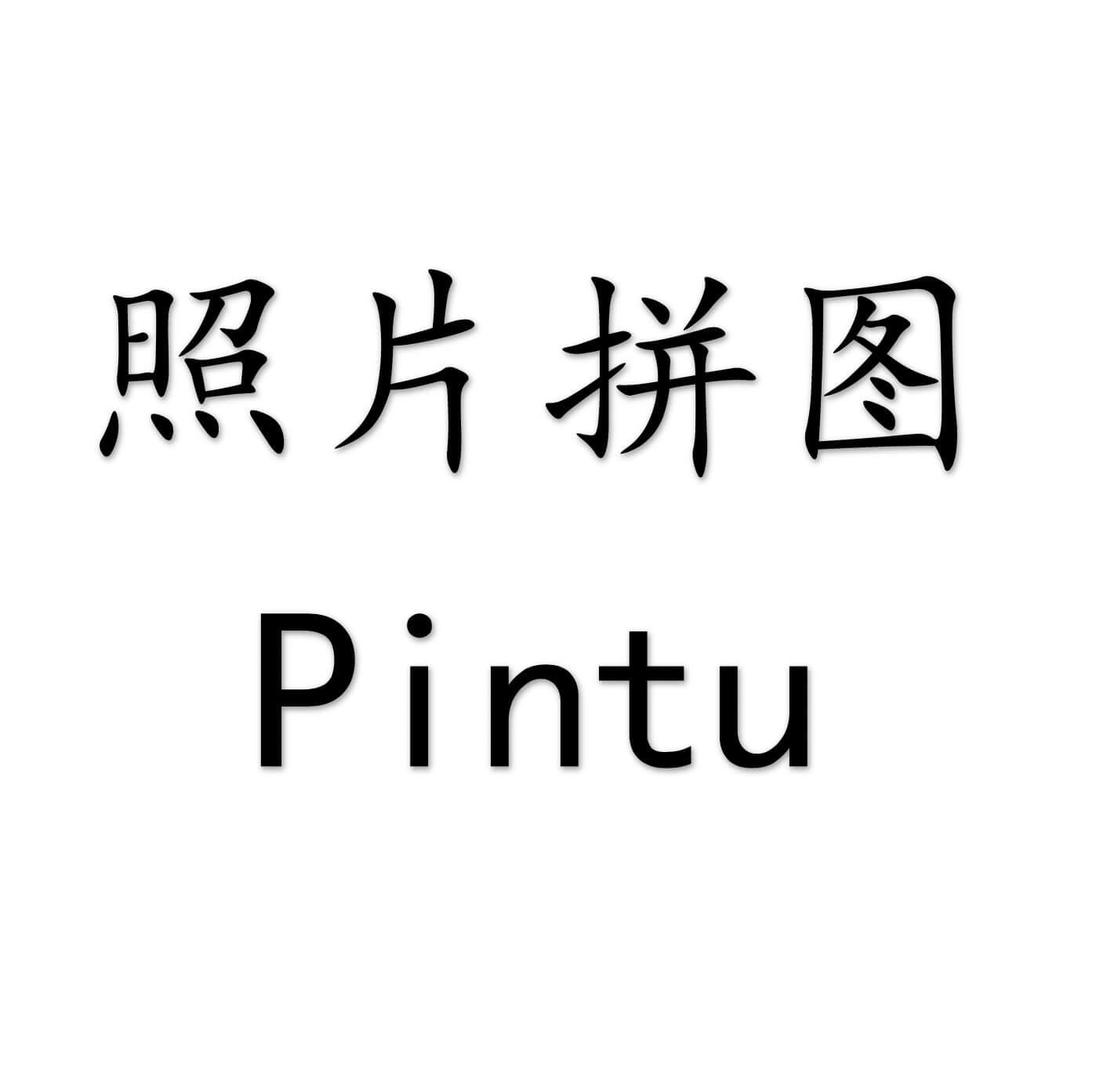 照片拼图  PINTU