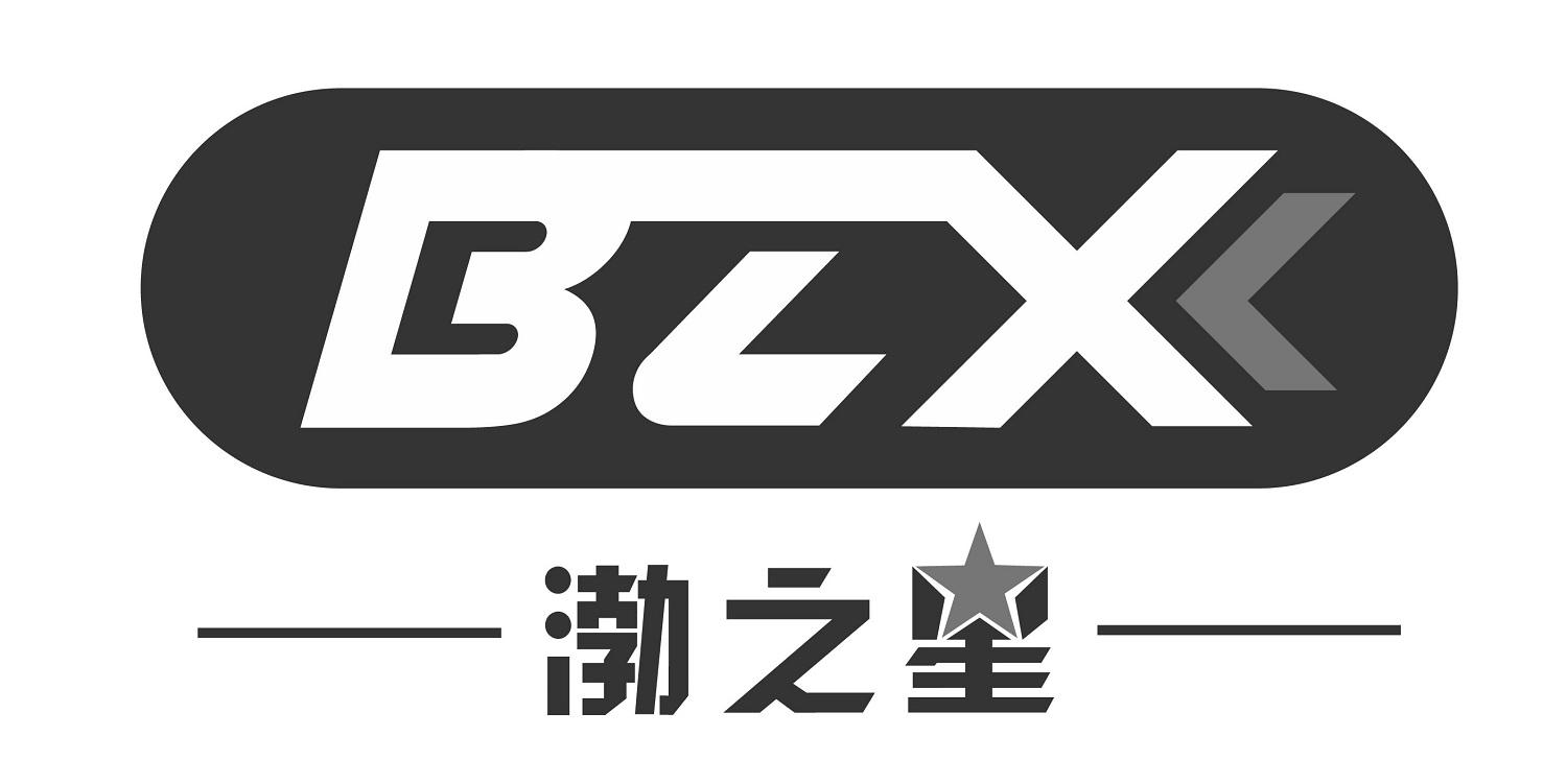 渤之星 BZX