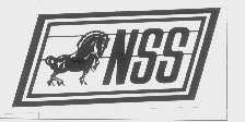 NSS
