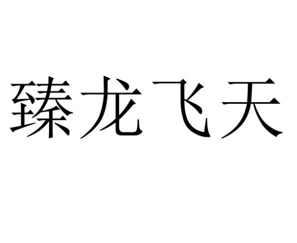 臻龙飞天
