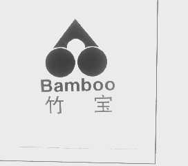 竹宝   BAMBOO