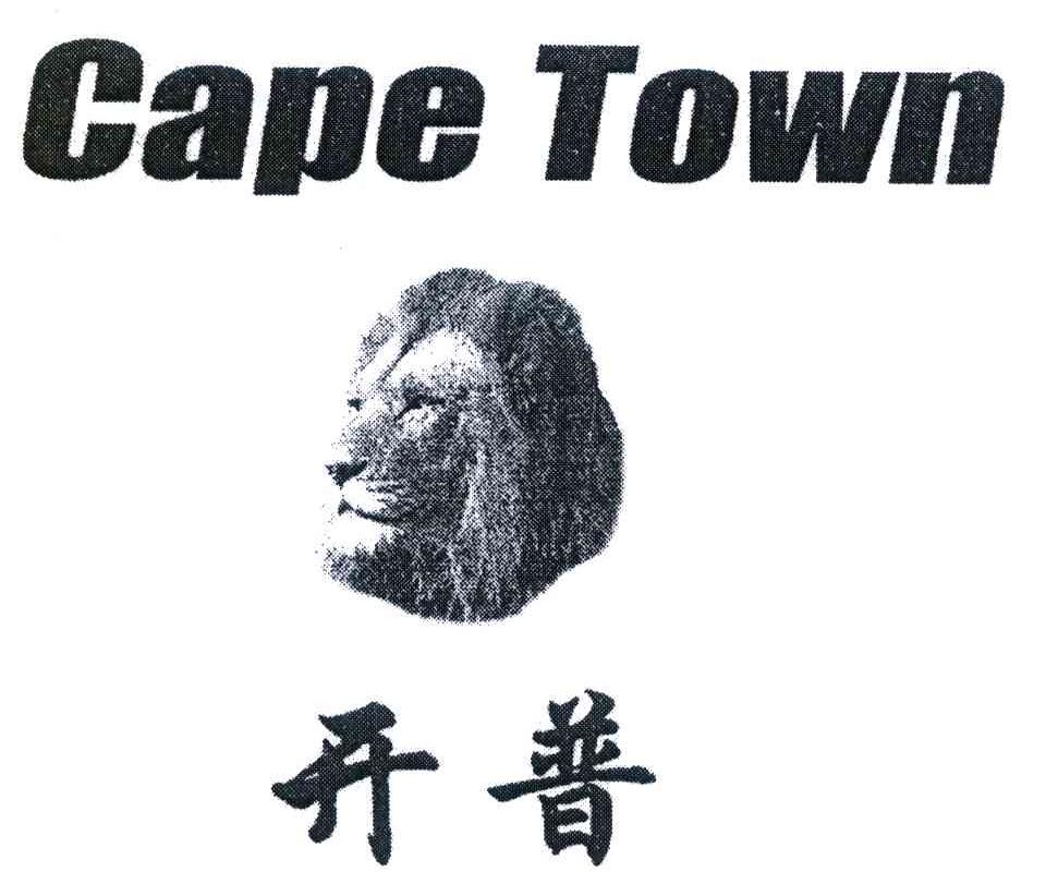 开普 CAPE TOWN