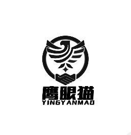 鹰眼猫