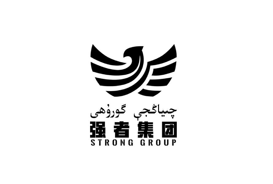 强者集团 STRONG GROUP