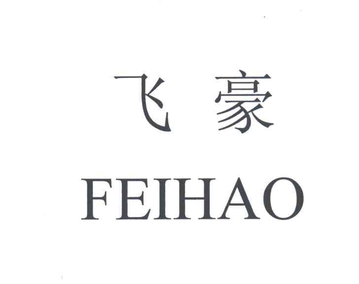 飞豪