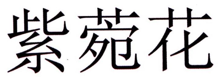 紫菀花