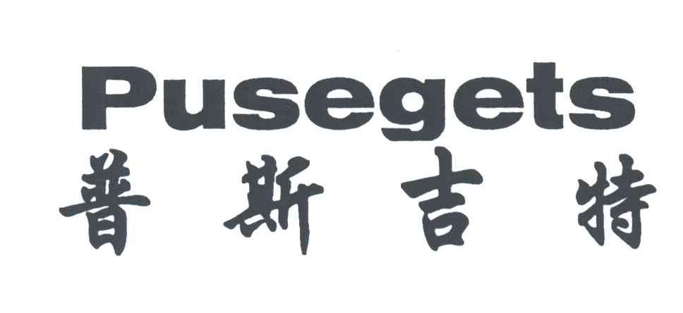 普斯吉特;PUSEGETS