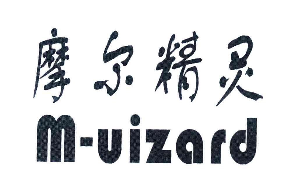 摩尔精灵 M-UIZARD