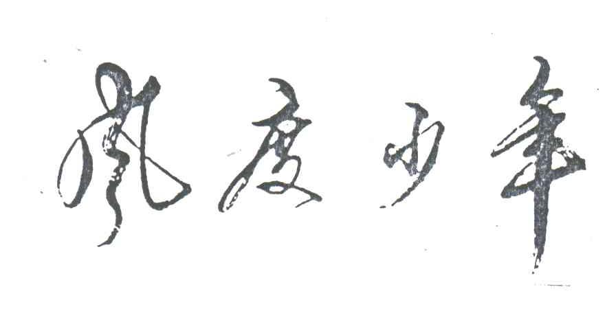 风度少年