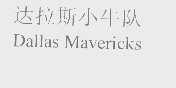达拉斯小牛队   DALLAS MAVERICKS