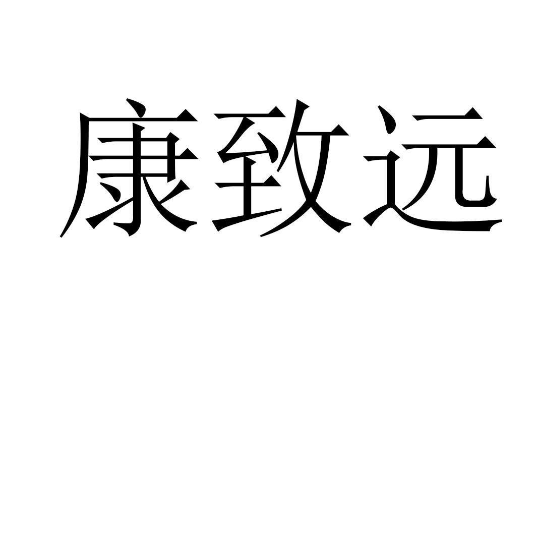 康致远