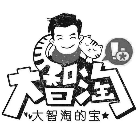 大智淘 大智淘的宝