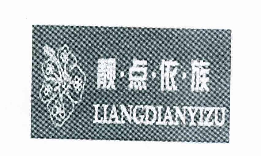靓点依族