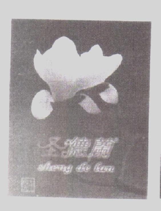 圣德兰