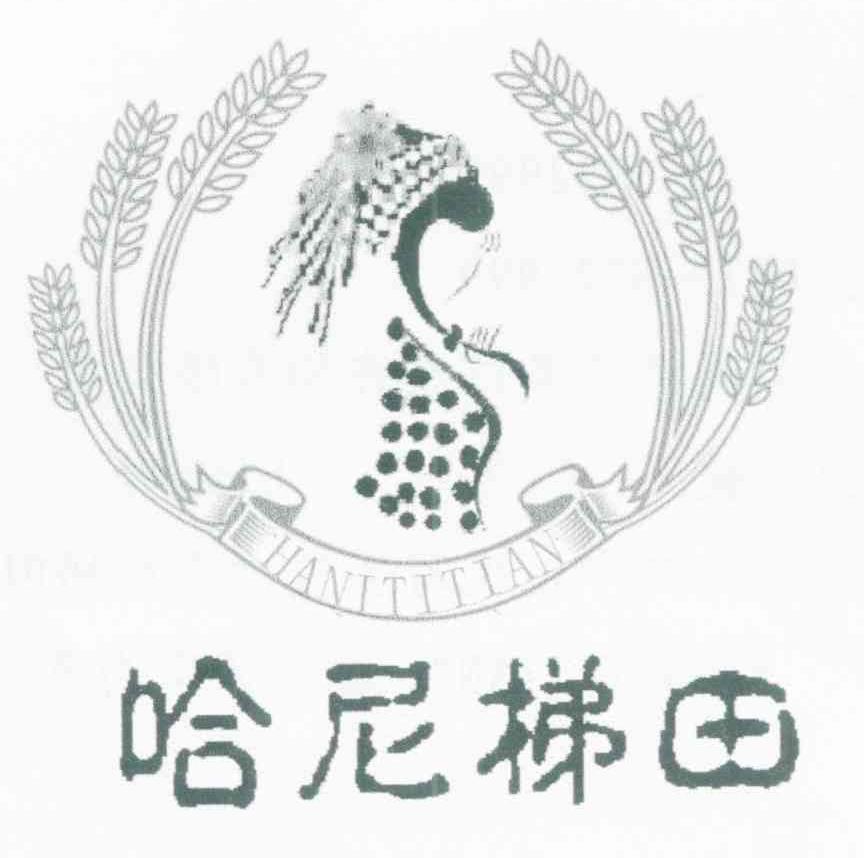 哈尼梯田