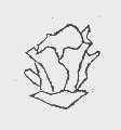 图形