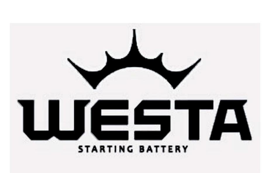 WESTA STARTING BATTERY