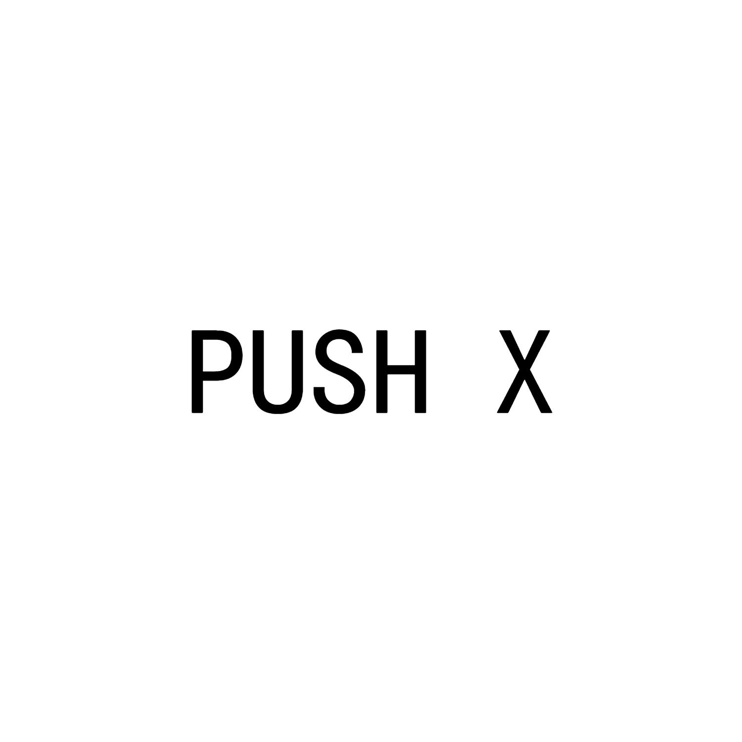 PUSH X