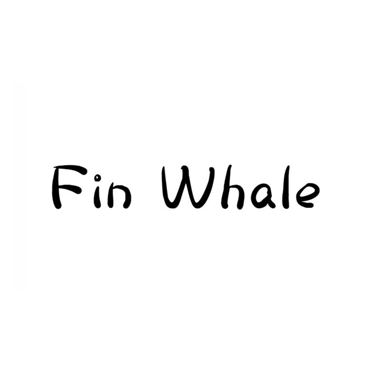 FIN WHALE