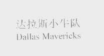 达拉斯小牛队   DALLAS MAVERICKS