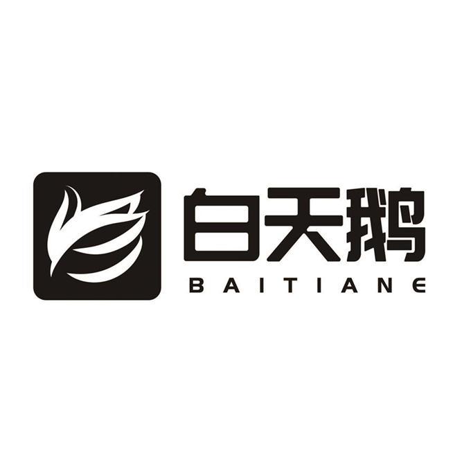 白天鹅