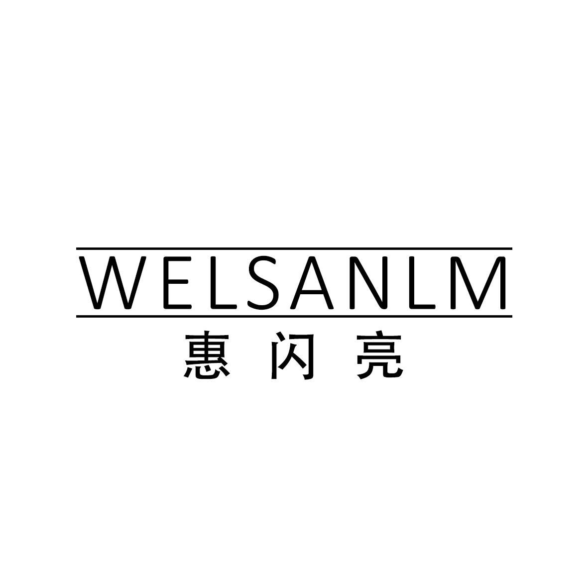 惠闪亮  WELSANLM