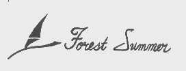 FOREST SUMMER