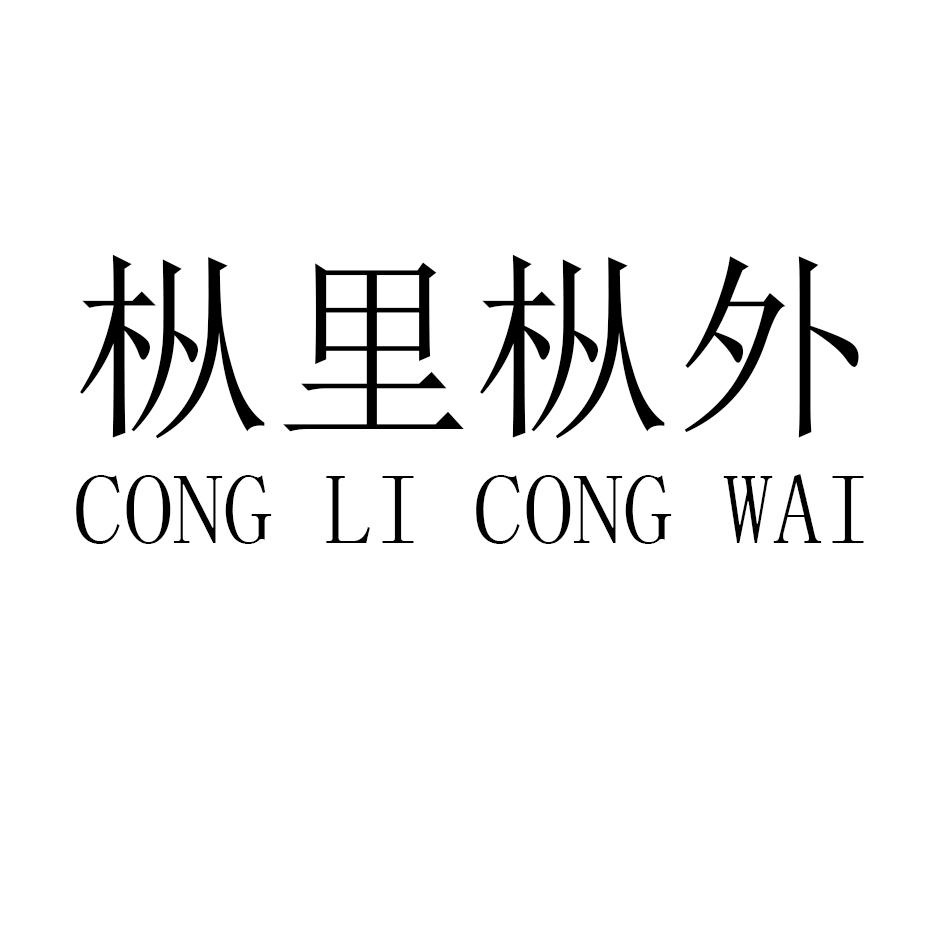 枞里枞外