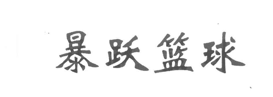 暴跃篮球