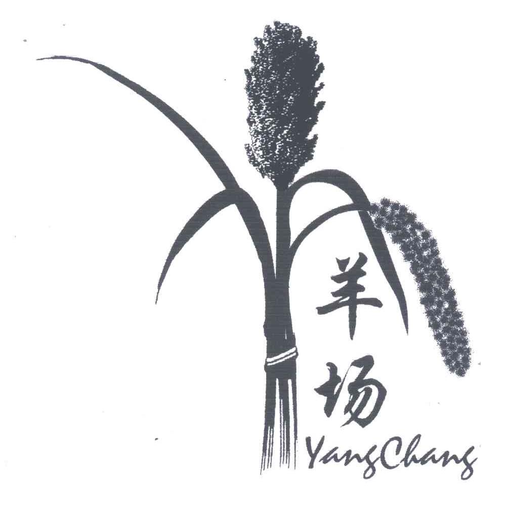 羊场