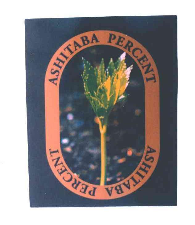 ASHITABA PERCENT