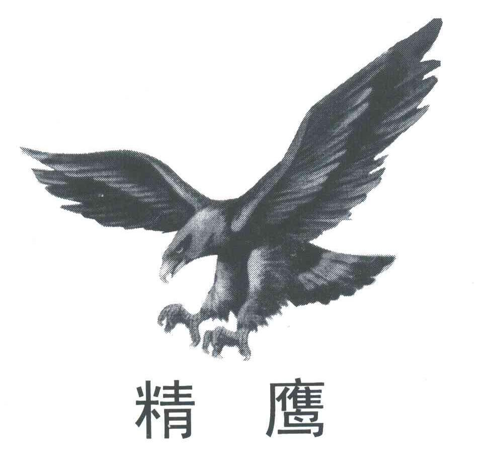 精鹰