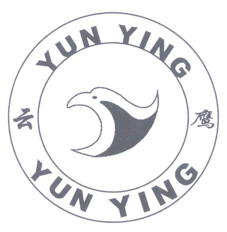 云鹰