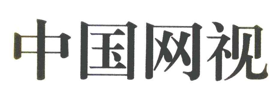 中国网视