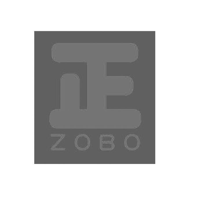 正 ZOBO