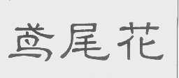 鸢尾花