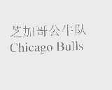 公牛队   BULLS