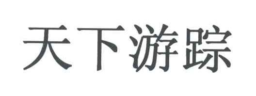 天下游踪